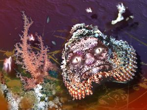 Inner Space Alien,  scorpionfish red sea, photoshopped by Peter Harris 